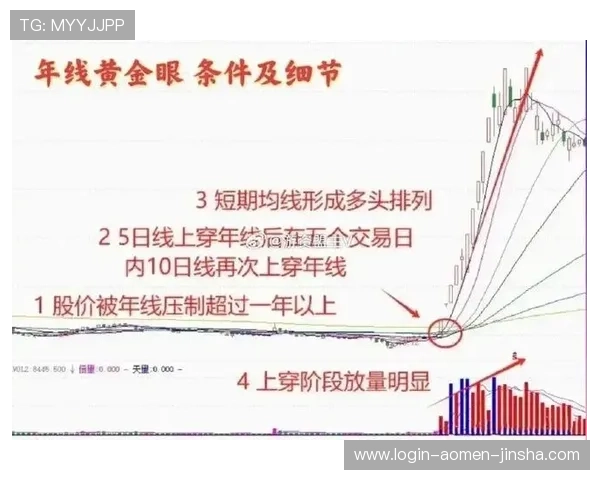 提升金沙现金视讯赢钱概率的实用技巧与策略分享